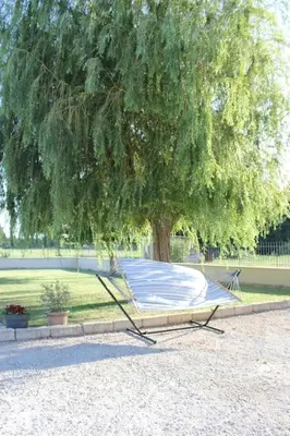 a large tree with a mattress under a tree at Mas Aubert in Eyragues