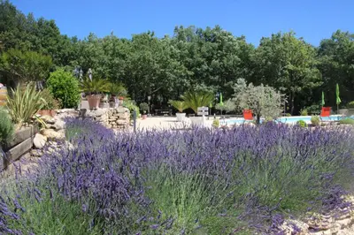 a field of lavender in a garden at Le Gîte du Hameau Fleur de Pierres in Gordes