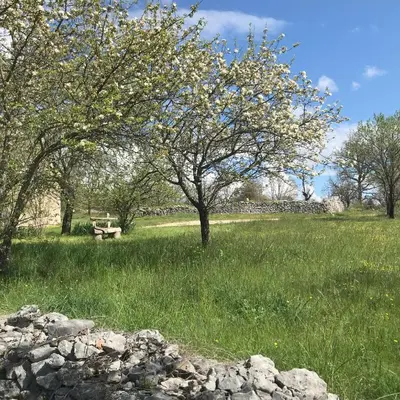 a park with a bench and trees in a field at Le Mas de Loume in Sault-de-Vaucluse