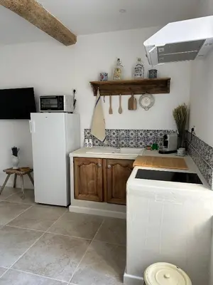 a kitchen with a white refrigerator and wooden cabinets at Studio centre ville la Toscane in LʼIsle-sur-la-Sorgue