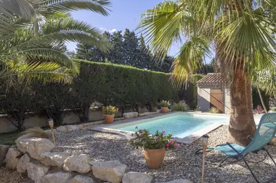 a swimming pool with a chair and a palm tree at Source de Vie in Noves