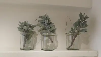 three glass vases with plants in them on a shelf at Cycle , Cook and Relax in Caromb