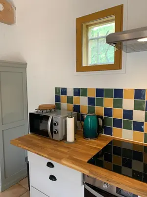 a kitchen with a counter top with a microwave at Maison du vallon de Galeye in La Roque-sur-Pernes