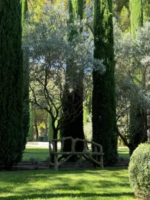 a park bench sitting in the grass between two trees at La Cour Intérieure Ménerbes in Ménerbes