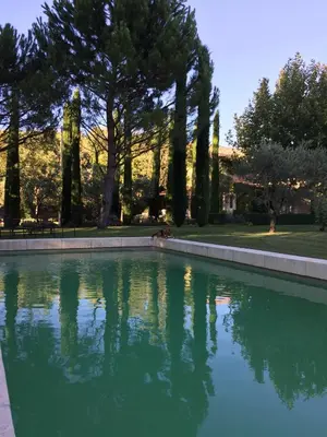a pool of water in a park with trees at La Cour Intérieure Ménerbes in Ménerbes