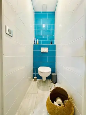 a bathroom with a toilet and a blue wall at Maison haut de gamme dans le golf de pont royal in Mallemort