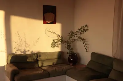 a living room with a couch and a vase with a plant at Casa Pauseto in Bonnieux