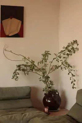 a plant in a vase on a table next to a couch at Casa Pauseto in Bonnieux