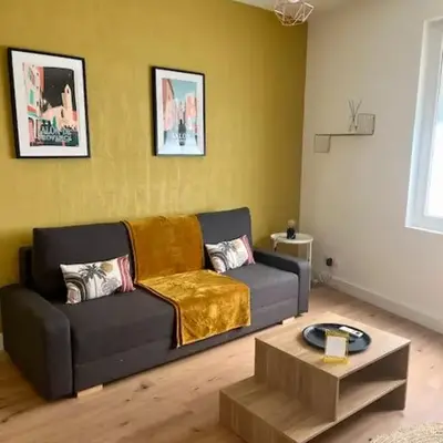 Appartement hyper centre climatisé