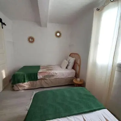 a bedroom with two beds with green sheets and a window at Le petit gîte de Rosalie in Blauvac