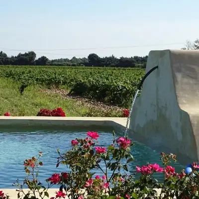 Gîte au coeur du vignoble des Saumanes