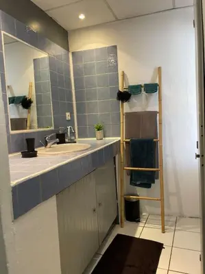 a bathroom with a sink and a mirror at Grand studio avec piscine au coeur du village in Le Puy-Sainte-Réparade