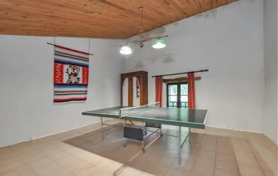 a ping pong table in the middle of a room at Stunning Home In Vacheres in Vachères