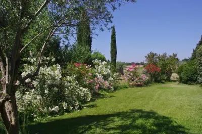 a garden with pink and white flowers and trees at Lei Meissoun in Mallemort