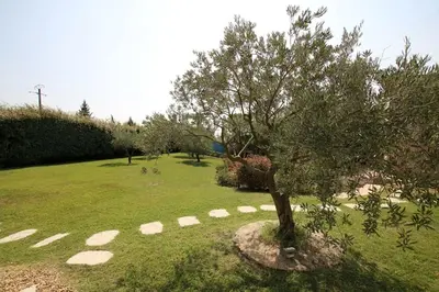 a tree in the middle of a green field at Villa l'Hestia avec piscine à l'Isle-sur-Sorgue in LʼIsle-sur-la-Sorgue