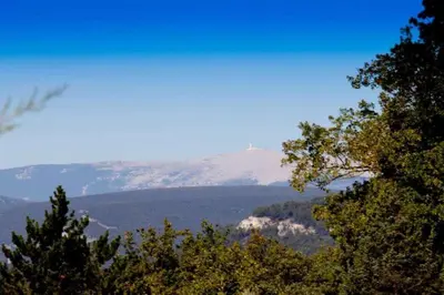 a view of a mountain with trees in the foreground at La Petite Colline in Apt