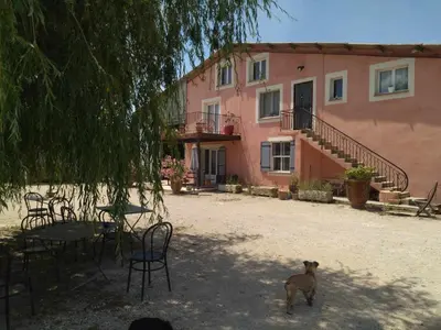 a dog standing in front of a building at Ecurie Le Pas du Loup in Caumont-sur-Durance