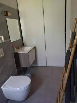 a bathroom with a white toilet and a sink at Ecurie Le Pas du Loup in Caumont-sur-Durance