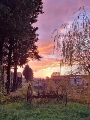 a sunset over a field with a bench and trees at Ecurie Le Pas du Loup in Caumont-sur-Durance