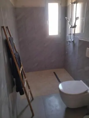 a bathroom with a toilet and a window at Ecurie Le Pas du Loup in Caumont-sur-Durance