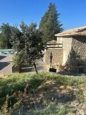 a tree in a yard next to a building at Charmante maison Provençale avec grand jardin in LʼIsle-sur-la-Sorgue