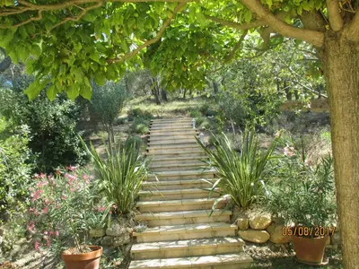 a stone path in a garden with plants at Villa Boulou in Rognes