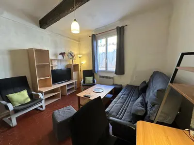 a living room with a couch and a table at Chez Florence - Appartement T2 d au cœur du centre ville historique - Proche Cardeurs et Mairie in Aix-en-Provence