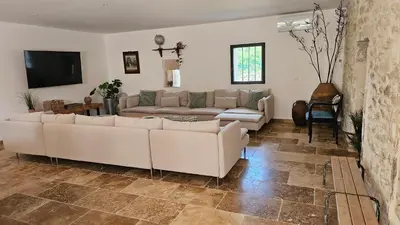 a living room with two couches and a tv at Mas mes Aïeux in Saint-Rémy-de-Provence
