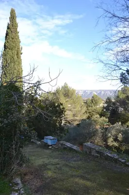 a tree in the middle of a yard with a bench at Une Chambre aux Gabions in Cavaillon