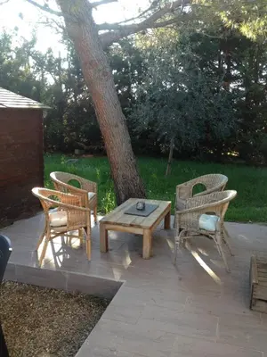 a patio with a table and chairs and a tree at Gite au coeur de la Provence & SPA in Saint-Cannat
