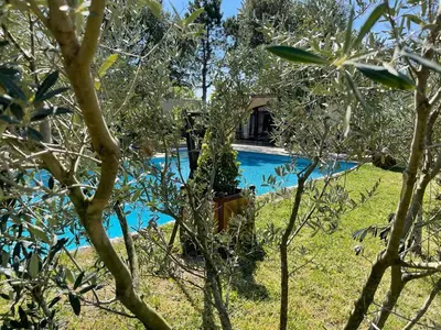 a swimming pool in the middle of a yard with trees at Gite au coeur de la Provence & SPA in Saint-Cannat