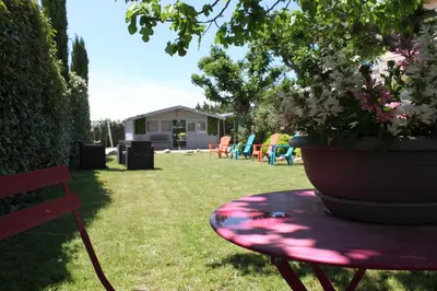 a potted plant sitting on a table in a yard at Domaine Les feuilles de Chêne in Carpentras