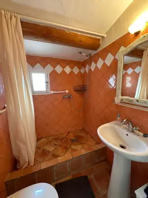 a bathroom with a shower and a sink at Les 3 Terrasses in Roussillon