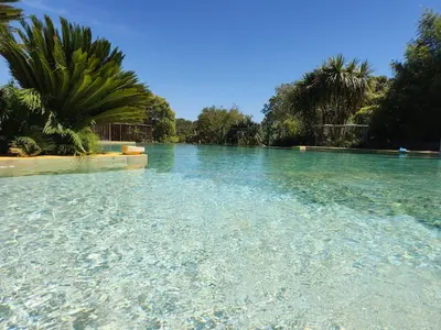 a pool of clear blue water with palm trees at La Villa Astra de 4 à 12 personnes - Domaine Astra, Grans in Grans