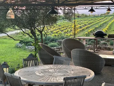 a patio with a table and chairs and a vineyard at Chambre dans bastide au milieu des vignes in Ménerbes