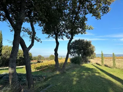 a path through a field with trees in the foreground at Chambre dans bastide au milieu des vignes in Ménerbes
