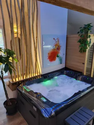 a bedroom with a bed and a tv and a fireplace at Suite l'Olive Sacrée Spa et Sauna in Cabannes