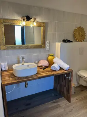 a bathroom with a sink and a toilet at Logis du Vert Moulin Premium in Le Puy-Sainte-Réparade