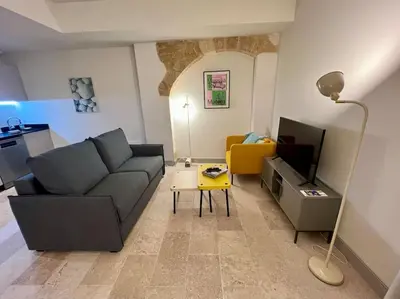 a living room with a couch and a tv at Appartement au coeur du centre historique in Aix-en-Provence