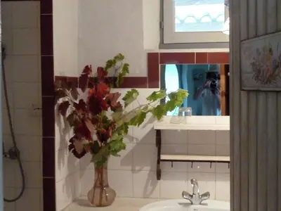 a bathroom with a sink with a vase of flowers at Cottage in Oppède with Pool and Garden in Maubec