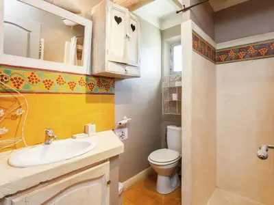 a bathroom with a sink and a toilet at Cottage in Oppède with Poolside Bliss in Maubec