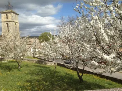 a group of trees in a field with a tower at Holiday Home Provence with Pool in Céreste