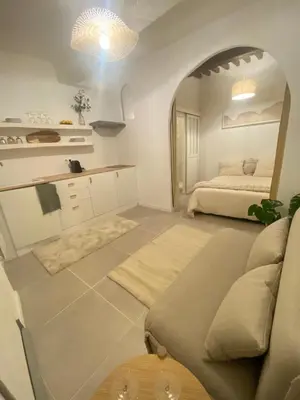 a living room with a bed and a couch at Studio charmant hyper centre in Aix-en-Provence