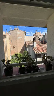 a window with potted plants on a window sill at artist plein centre ville historique in Aix-en-Provence