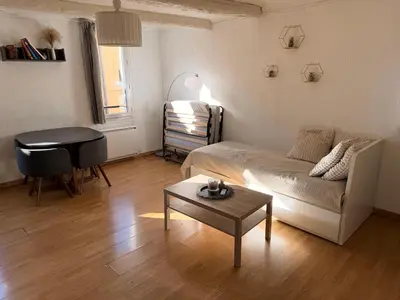 a living room with a couch and a table at T2 lumineux hyper centre Aix en Provence à quelques metres du Cours Mirabeau pour 1 à 5 personnes in Aix-en-Provence