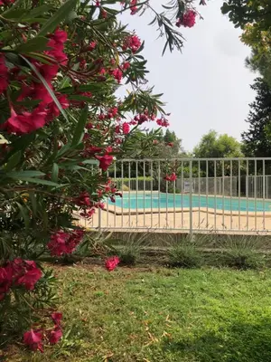 a fence next to a swimming pool with pink flowers at Gite 5 pers en Provence avec grand jardin & piscine partagés - 5 people holiday home with shared swimming pool & garden in Provence in Cornillon-Confoux