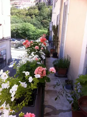 a walkway with flowers in pots on a building at Chez Christel in Apt