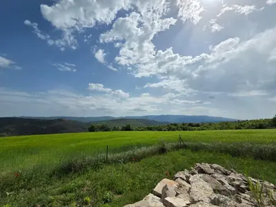 a large green field with a rock in the grass at Maison en Luberon in Sainte-Croix-à-Lauze
