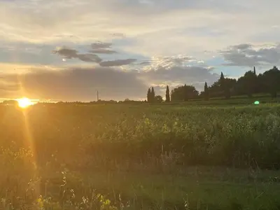 a field of grass with the sun setting in the background at Cocon Authentique de Roussillon in Roussillon