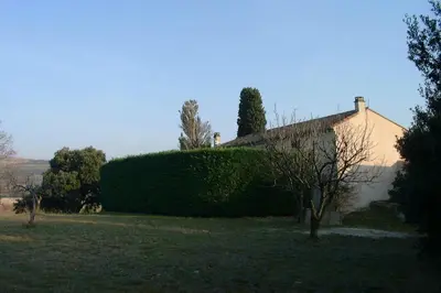 a hedge grows on the side of a house at Mas de Regardebon in Mazan